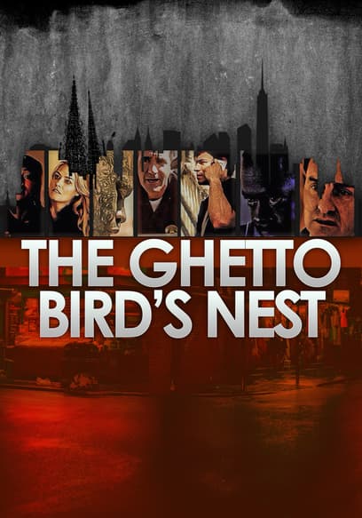 The Ghetto Bird's Nest