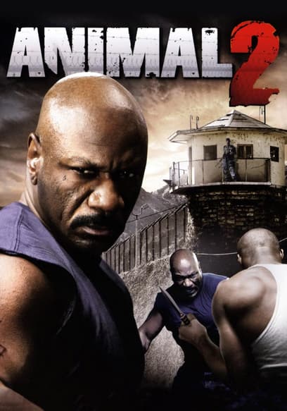 Watch Animal 2 (2008) - Free Movies | Tubi