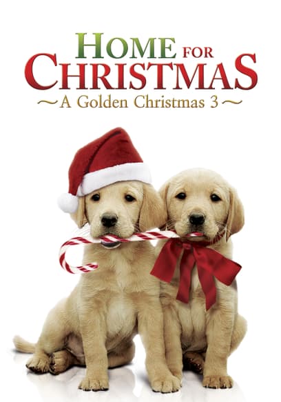 A Golden Christmas 3: Home For Christmas