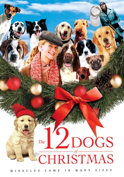 The 12 Dogs of Christmas