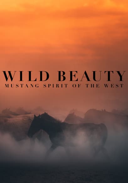 Wild Beauty Mustang Spirit of the West