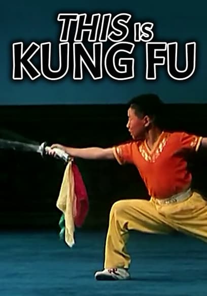 This Is Kung Fu