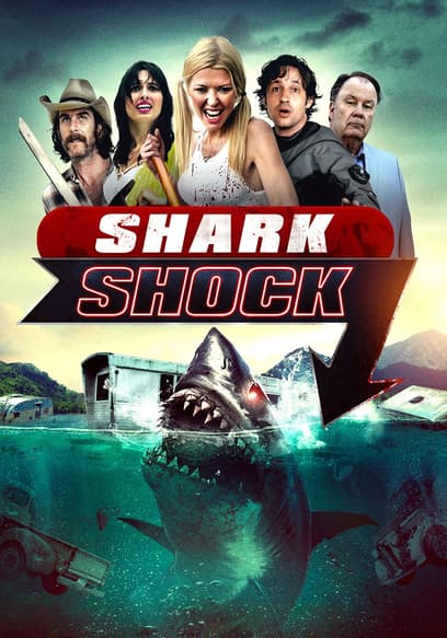 Shark Shock