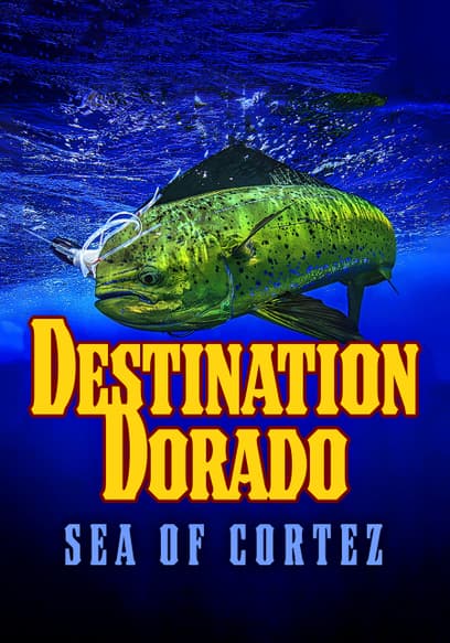 Destination Dorado: Sea of Cortez