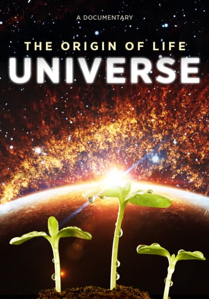 The Origin of Life: Universe