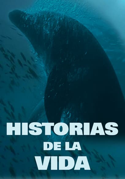 Historias De La Vida (Doblado)