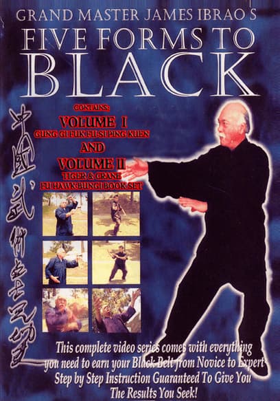 Five Forms To Black (Vol. 1)