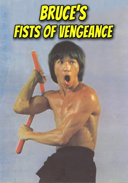 Bruce's Fists of Vengeance