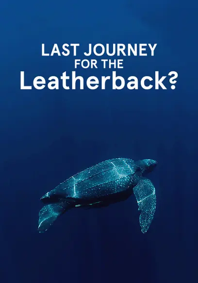 Last Journey for the Leatherback?