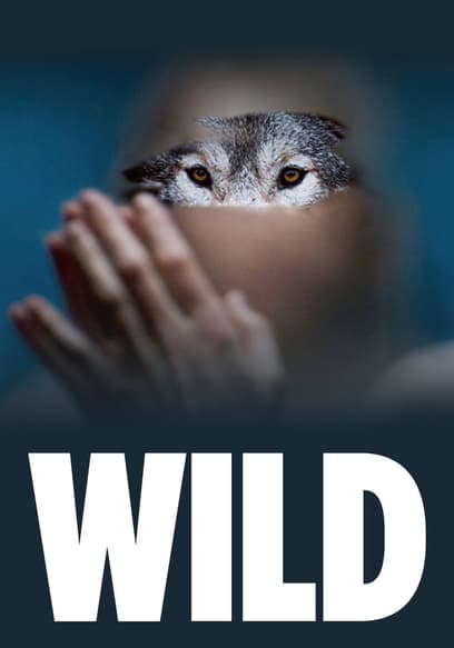 Watch Wild (2014) Free Movies Tubi