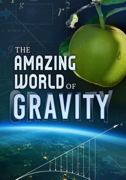 The Amazing World of Gravity