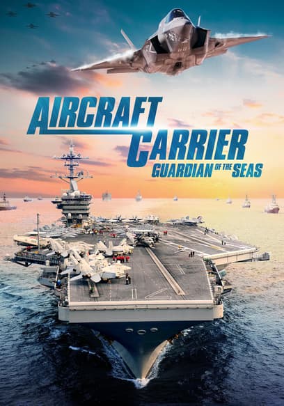 Aircraft Carrier: Guardian of the Seas