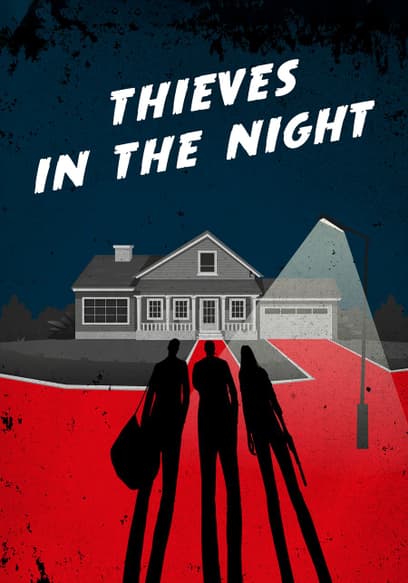 Thieves in the Night