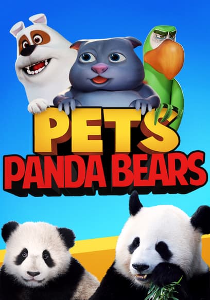 Pets: Panda Bears