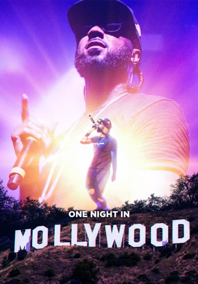One Night in Mollywood