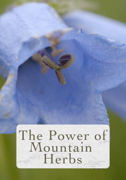 The Power of Mountain Herbs