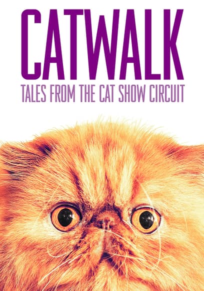 Catwalk: Tales From the Cat Show Circuit