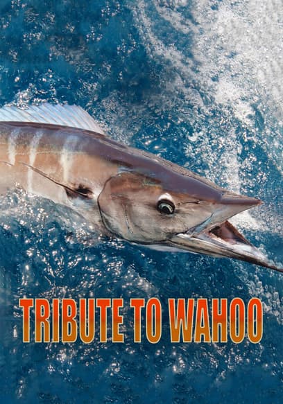 Tribute to Wahoo