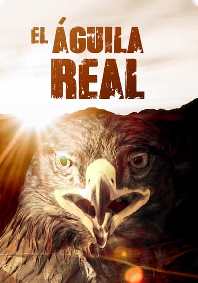 El Águila Real