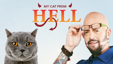 My cat from shops hell putlocker