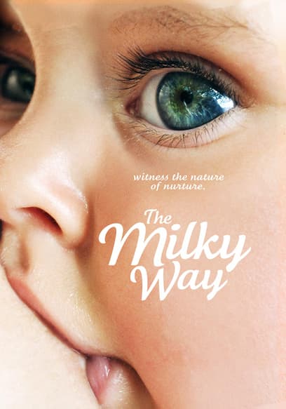The MIlky Way