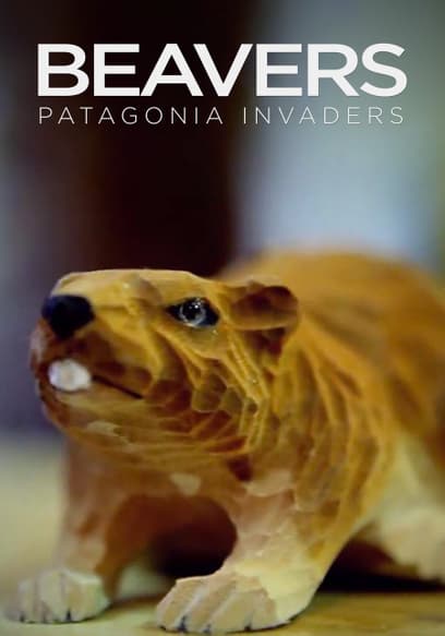 Beavers: Patagonia Invaders