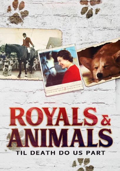 Royals & Animals: Til Death Do Us Part