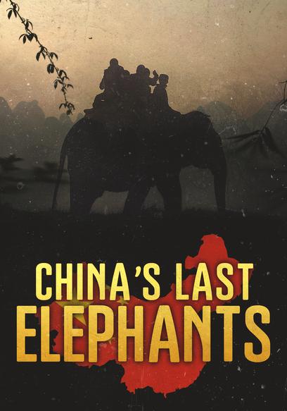 China's Last Elephants