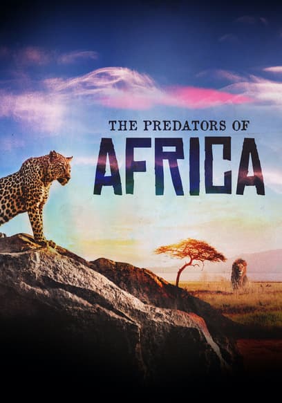The Predators of Africa