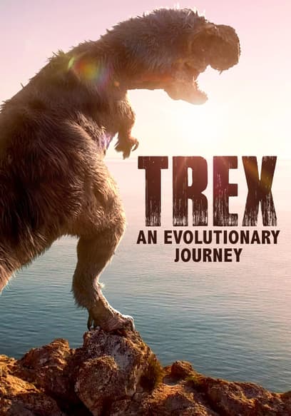 T-Rex: An Evolutionary Journey