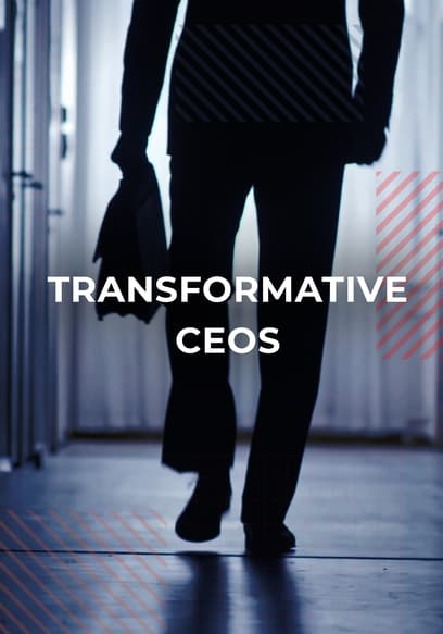Transformative CEOs