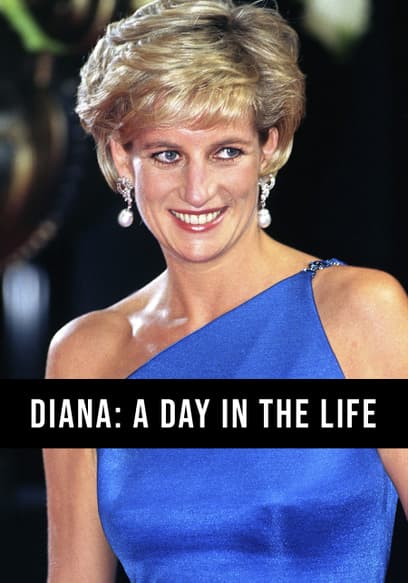 Diana: A Day in the Life