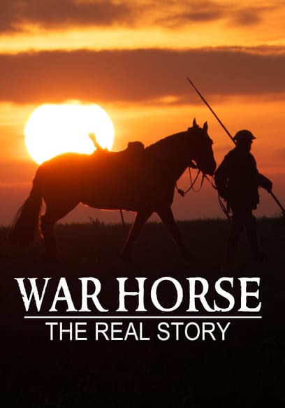 War Horse: The Real Story