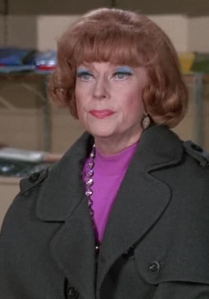 Watch Bewitched S05:E29 - Samantha's Shopping Spree - Free TV Shows | Tubi