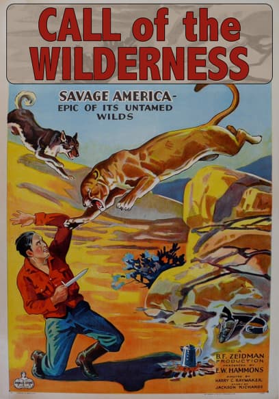 Call of the Wilderness