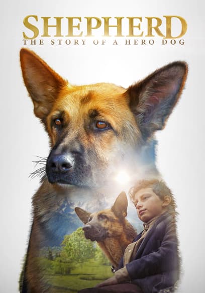 Shepherd: The Story of a Hero Dog