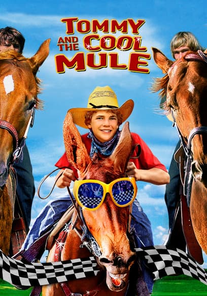 Tommy & the Cool Mule