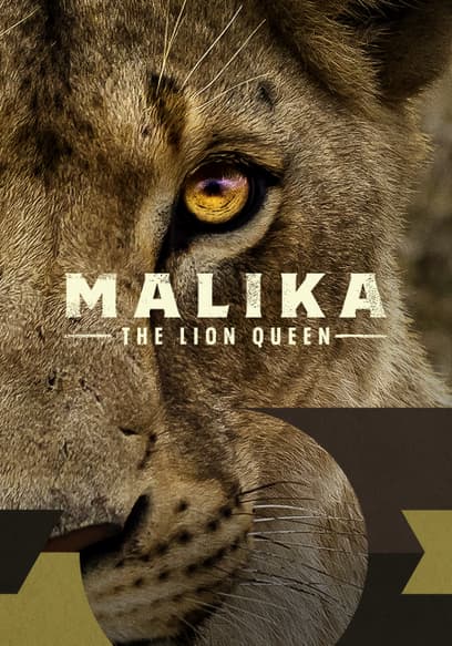 Malika the Lion Queen