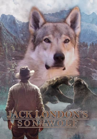 Jack London's Son of the Wolf