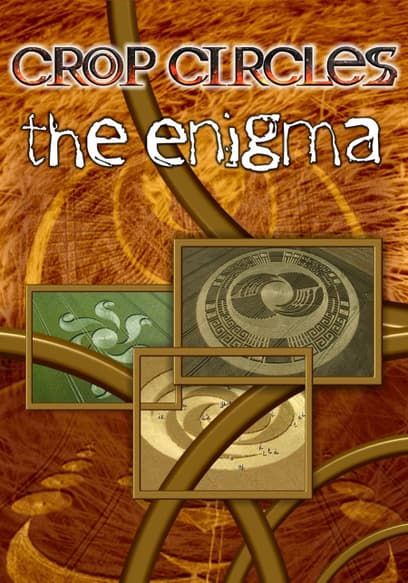 Crop Circles: The Enigma