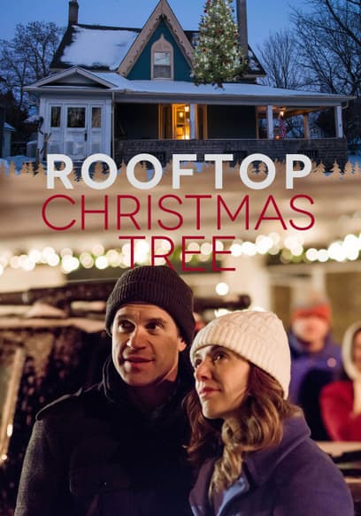 Rooftop Christmas Tree