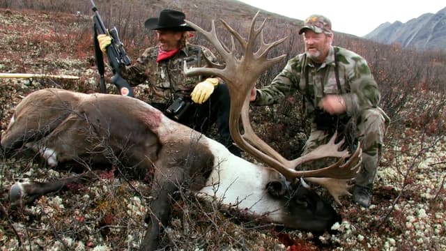 S10:E12 - Yukon Moose With Cabela's