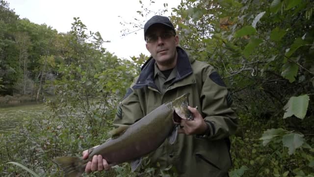 S10:E07 - Fall Salmon Surveillance