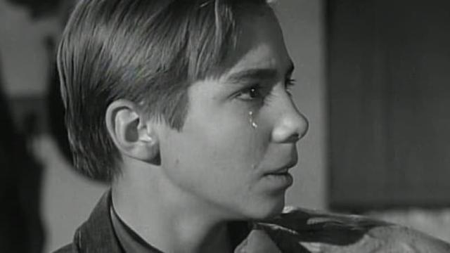Watch The Rifleman S03:E24 - Dark Day at North Fork - Free TV Shows | Tubi