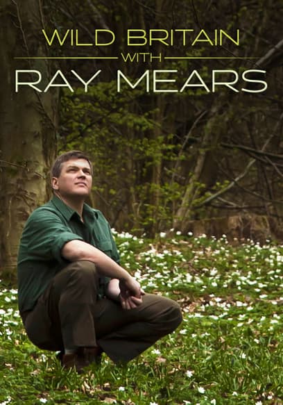 Wild Britain With Ray Mears