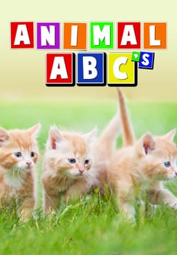 Watch Animal ABC's (2005) - Free Movies | Tubi