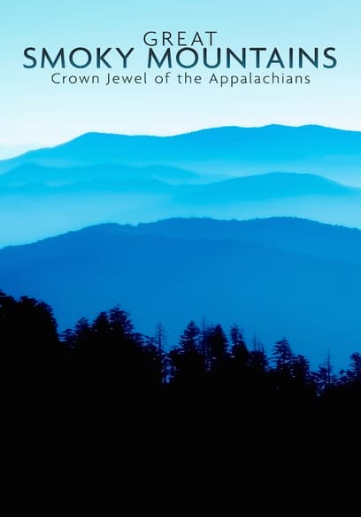 Great Smoky Mountains: Crown Jewel of the Appalachians