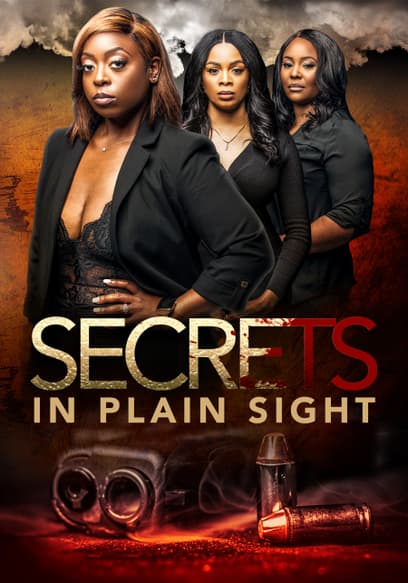 Secrets in Plain Sight