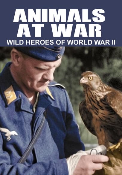 Animals at War: Wild Heroes of World War II