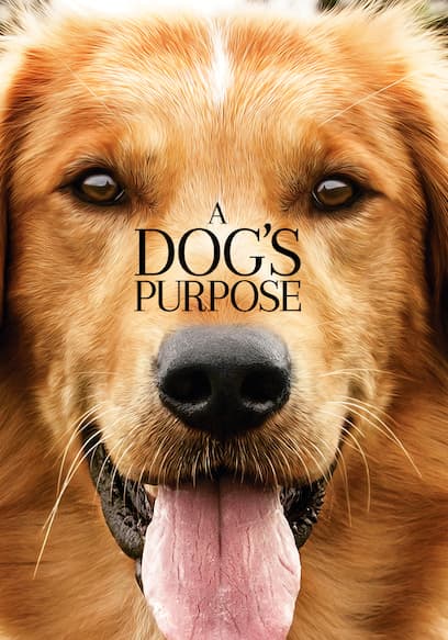 A Dog's Purpose